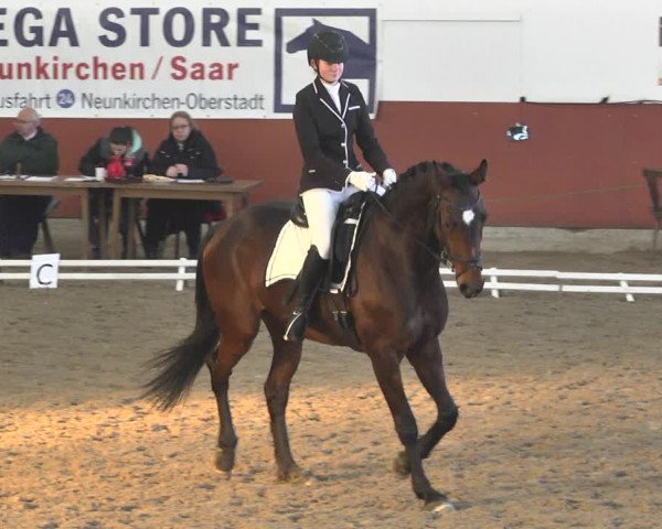 Reitturnier Neunkirchen-Furpach 2019