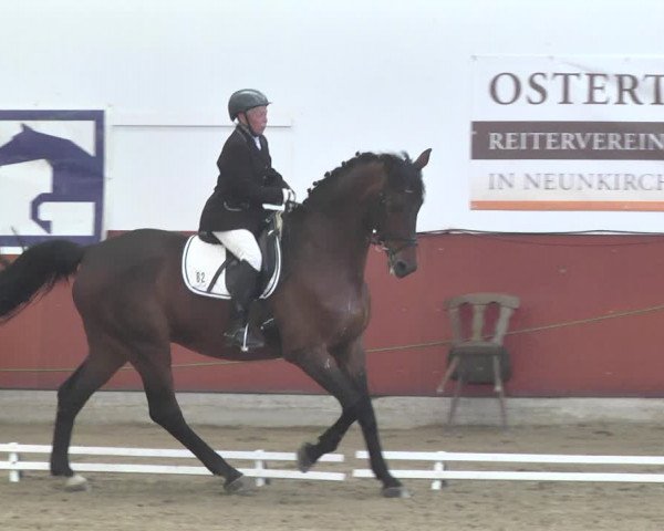Reitturnier Neunkirchen-Furpach 2019