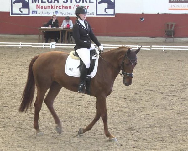 Reitturnier Neunkirchen-Furpach 2019