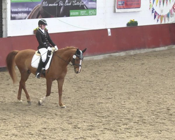 Reitturnier Neunkirchen-Furpach 2019