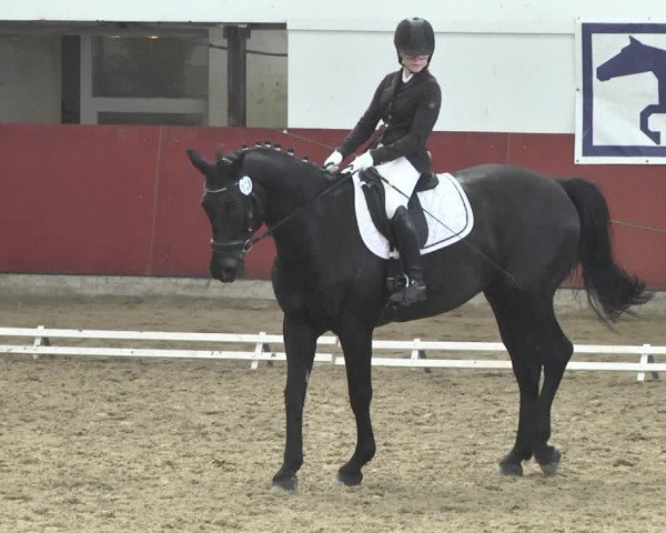Reitturnier Neunkirchen-Furpach 2019