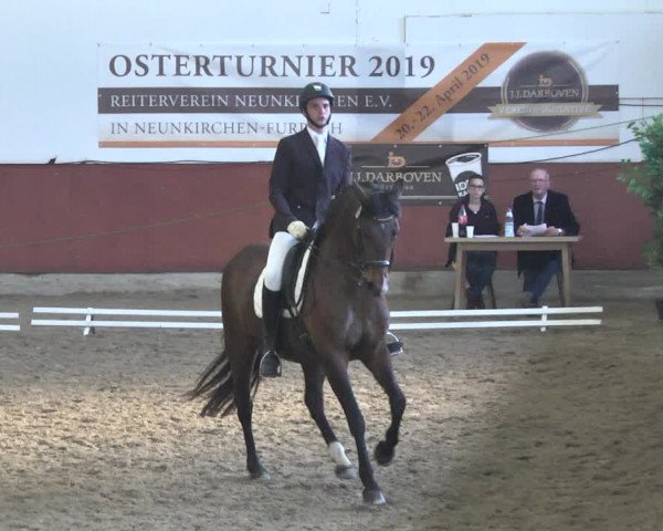 Reitturnier Neunkirchen-Furpach 2019