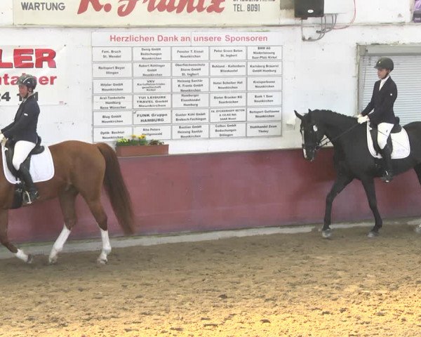 Reitturnier Neunkirchen-Furpach 2019