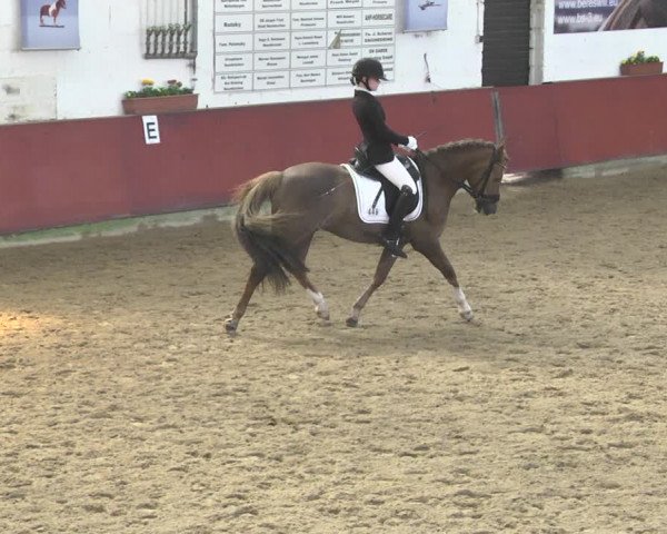 Reitturnier Neunkirchen-Furpach 2019