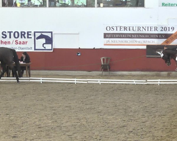 Reitturnier Neunkirchen-Furpach 2019