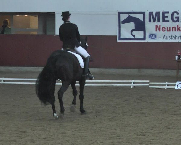 Reitturnier Neunkirchen-Furpach 2019