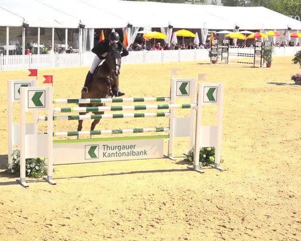 Osterspringen Amriswil 2019