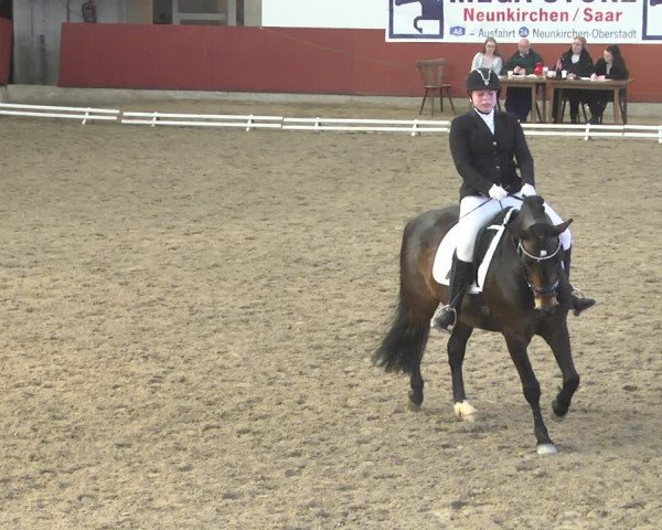 Reitturnier Neunkirchen-Furpach 2019