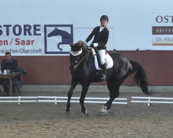 Reitturnier Neunkirchen-Furpach 2019