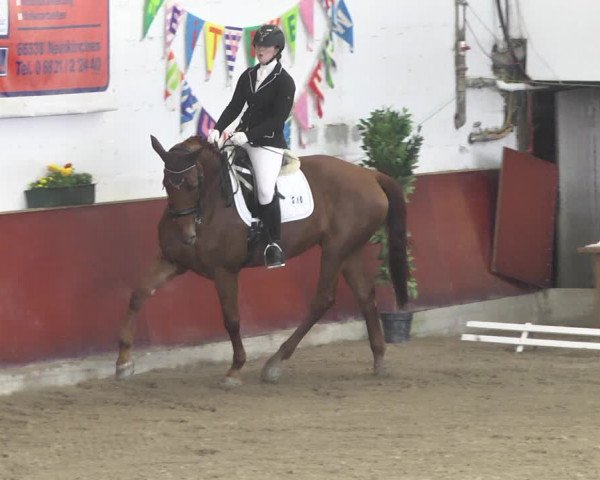 Reitturnier Neunkirchen-Furpach 2019
