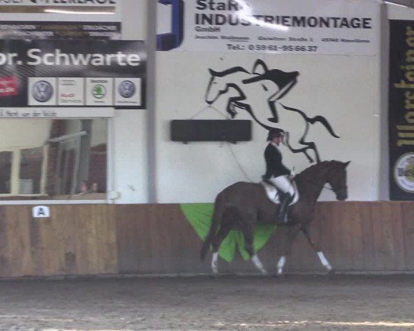 Dohrener Pferdetage 2019