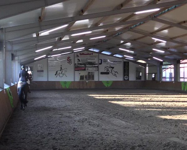 Dohrener Pferdetage 2019