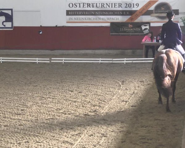 Reitturnier Neunkirchen-Furpach 2019