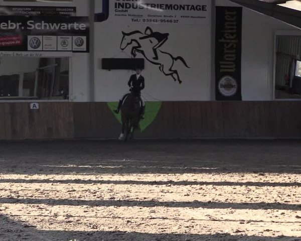 Dohrener Pferdetage 2019