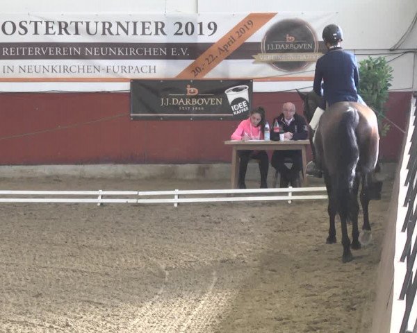 Reitturnier Neunkirchen-Furpach 2019