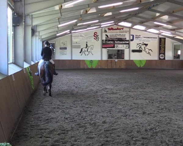 Dohrener Pferdetage 2019