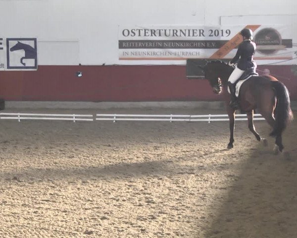 Reitturnier Neunkirchen-Furpach 2019