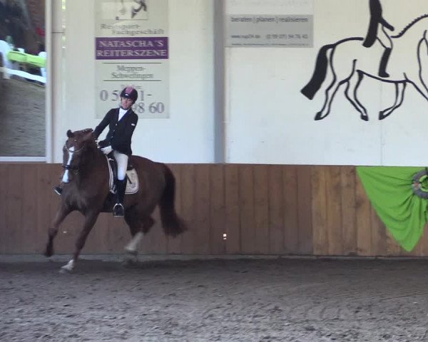 Dohrener Pferdetage 2019