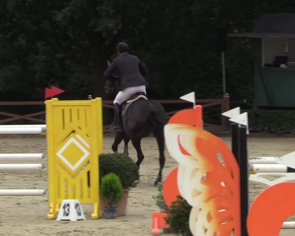 Equus Colonius - Reitanlage Brüse Köln 2021