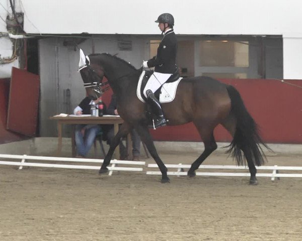 Reitturnier Neunkirchen-Furpach 2019