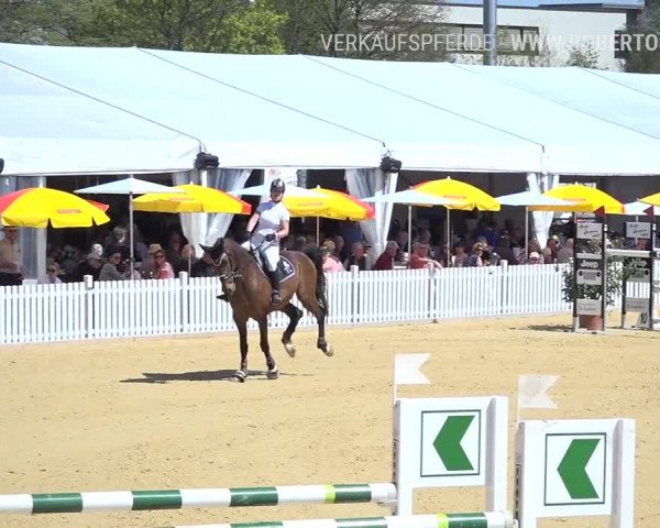 Osterspringen Amriswil 2019