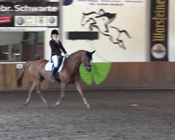 Dohrener Pferdetage 2019