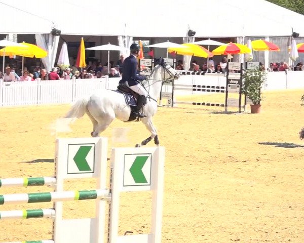 Osterspringen Amriswil 2019
