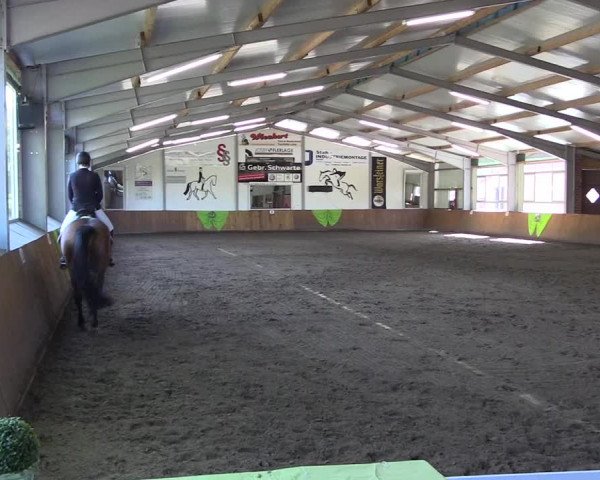 Dohrener Pferdetage 2019