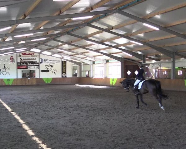 Dohrener Pferdetage 2019