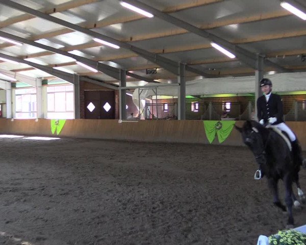 Dohrener Pferdetage 2019