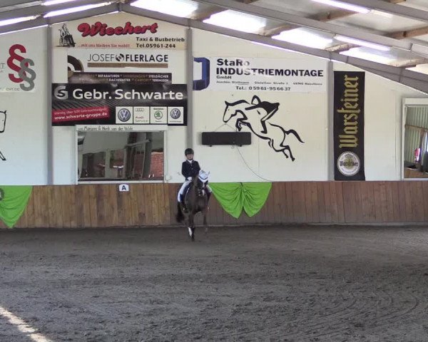 Dohrener Pferdetage 2019