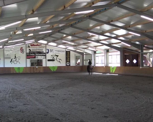 Dohrener Pferdetage 2019