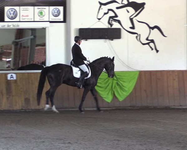 Dohrener Pferdetage 2019