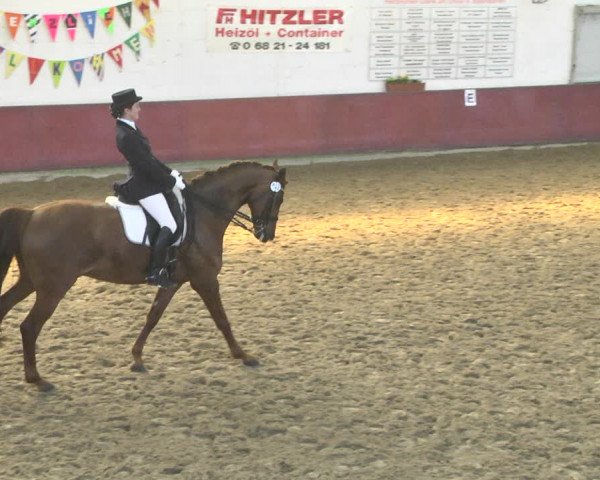 Reitturnier Neunkirchen-Furpach 2019