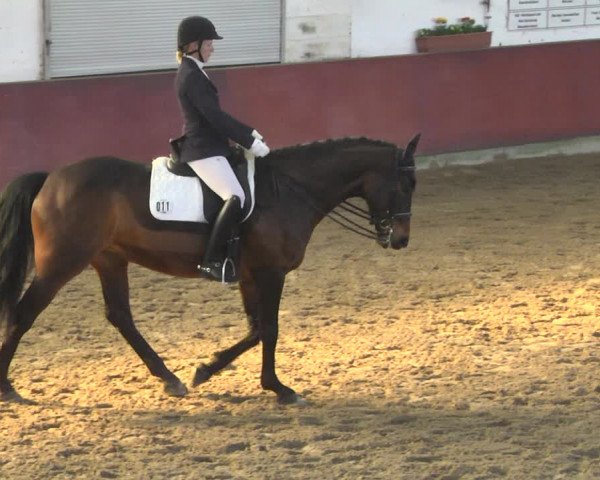 Reitturnier Neunkirchen-Furpach 2019