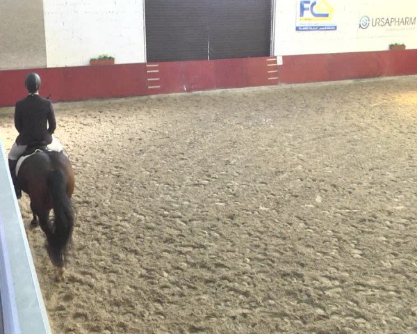 Reitturnier Neunkirchen-Furpach 2019