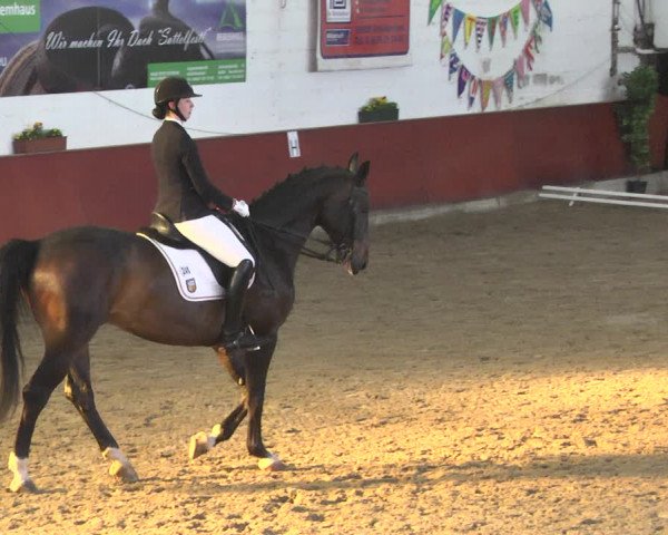 Reitturnier Neunkirchen-Furpach 2019