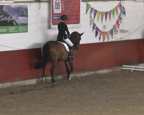 Reitturnier Neunkirchen-Furpach 2019
