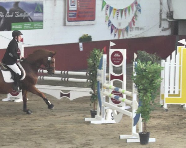 Reitturnier Neunkirchen-Furpach 2019