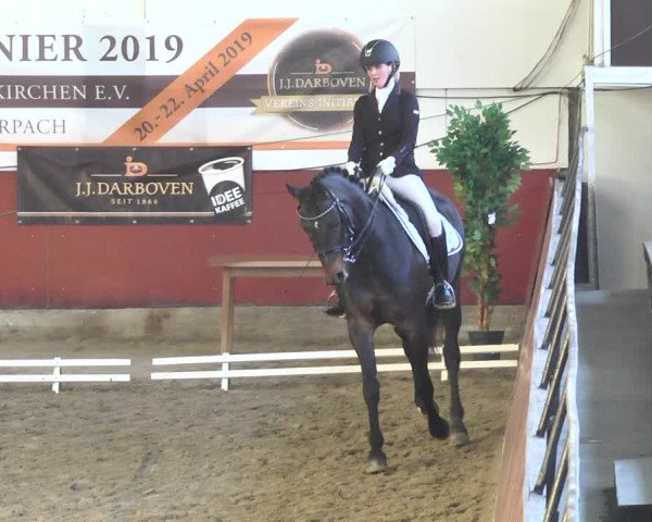 Reitturnier Neunkirchen-Furpach 2019