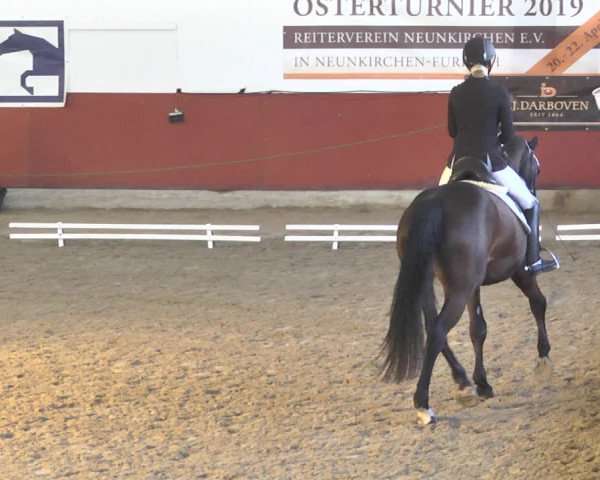 Reitturnier Neunkirchen-Furpach 2019
