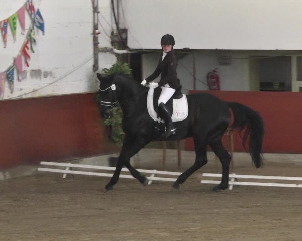 Reitturnier Neunkirchen-Furpach 2019