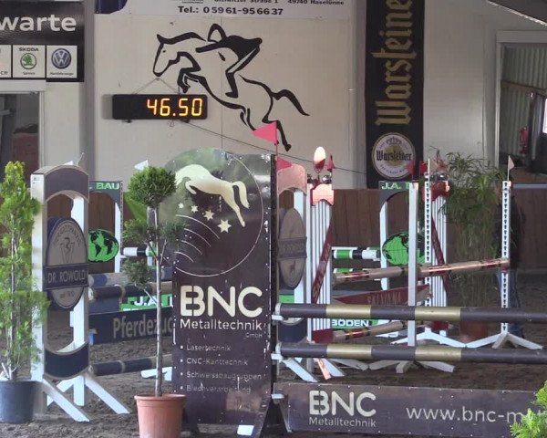 Dohrener Pferdetage 2019