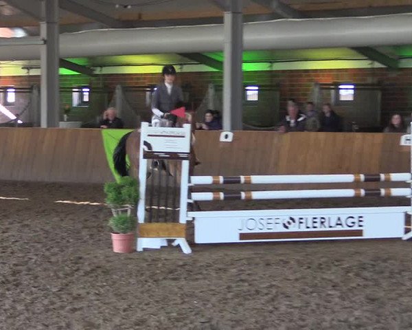 Dohrener Pferdetage 2019