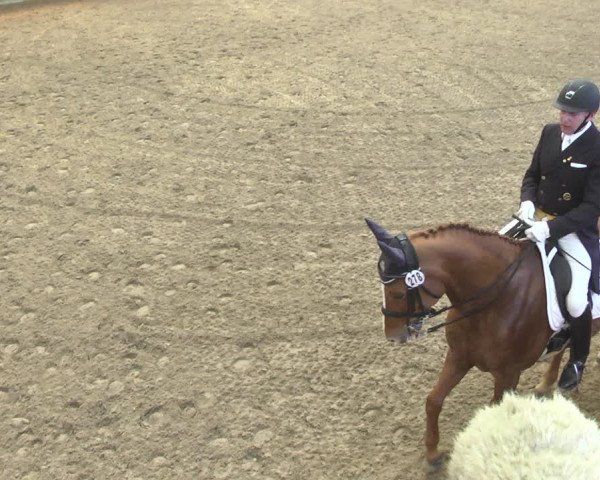 Reitturnier Neunkirchen-Furpach 2019