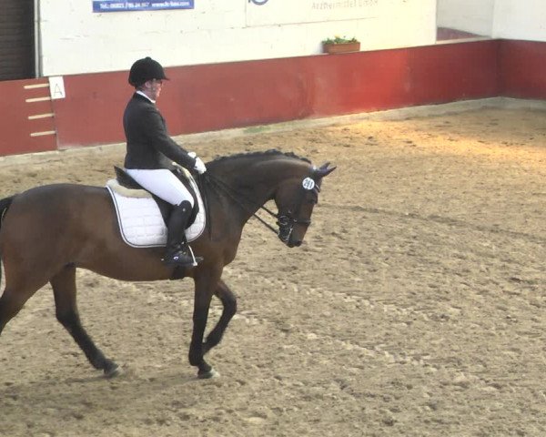 Reitturnier Neunkirchen-Furpach 2019