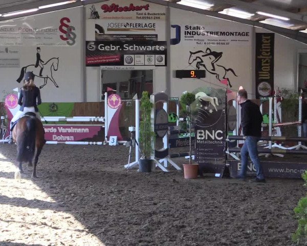 Dohrener Pferdetage 2019
