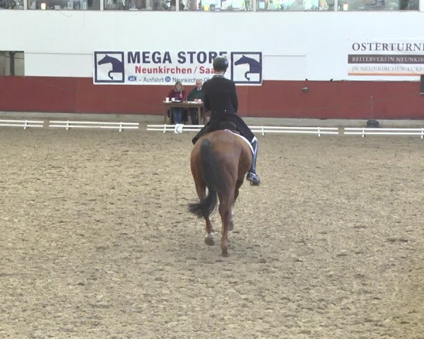 Reitturnier Neunkirchen-Furpach 2019