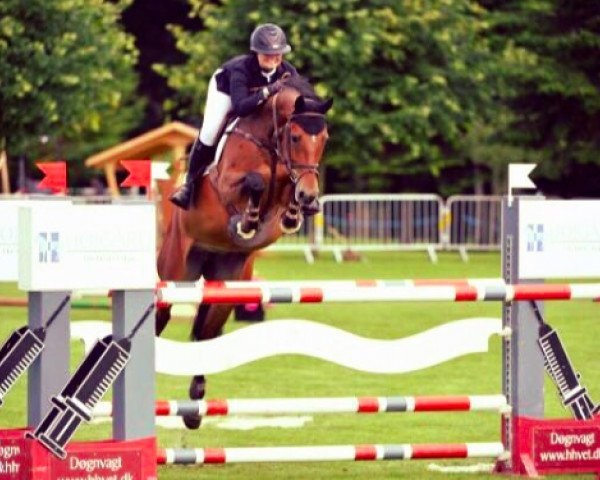 jumper Lousiana H (Westphalian, 2008, from Landor S)