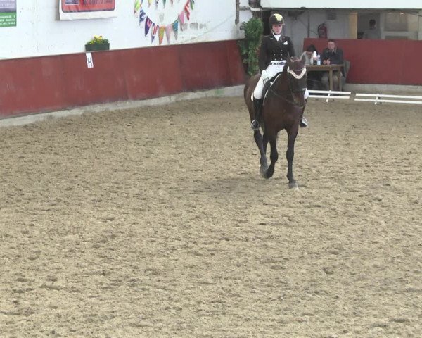 Reitturnier Neunkirchen-Furpach 2019